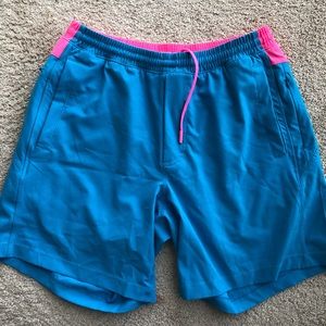 Neon blue and pink birddogs